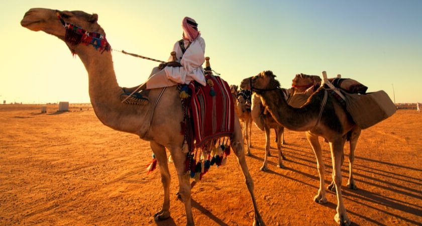 The Ultimate Arabian Adventure Explore Top Attractions in Saudi Arabia